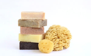 Natural Sea Sponges