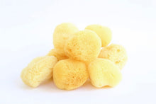 Load image into Gallery viewer, Natural Sea Sponges
