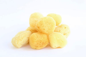 Natural Sea Sponges